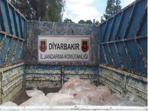 Jandarmadan kaçak mumbar operasyonu!