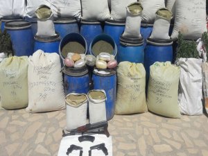 İlçe kırsalında yapılan operasyonda 3 ton 49 kilogram esrar ele geçirildi
