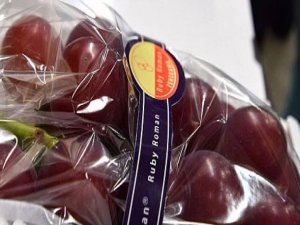 Bir salkımı 32 bin TL'ye satıldı