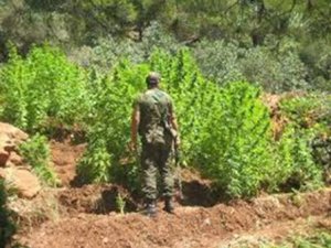 Ergani’de uyuşturucu operasyonu