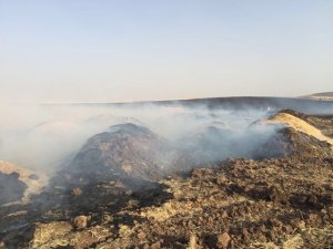 Anız yangını, hayvan çiftliğini küle çevirdi