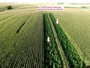 Yüklü miktarda uyuşturucu ele geçirildi