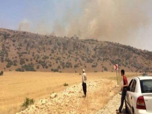 Silvan’da tarım arazilerinin yakılması Meclis gündemine taşındı