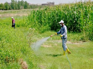İlaçlamalar  aralıksız devam ediyor