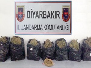 Jandarmadan uyuşturucu operasyonu