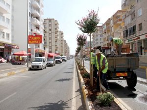 Bağlar Belediyesi’nin yeşillendirme çalışmaları devam ediyor