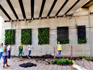 Diyarbakır’da duvarlar tabloya dönüştürülüyor