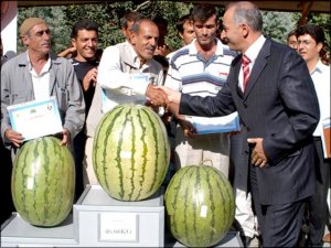 İşte İllere Göre Karpuz Üretimi