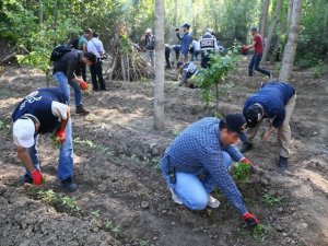 Diyarbakır’da uyuşturucuya 2 ayda 181 operasyon