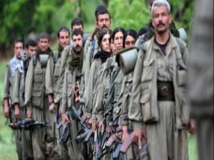 Doğu ve Güneydoğu'da önemli ismlerden PKK'ye çağrı