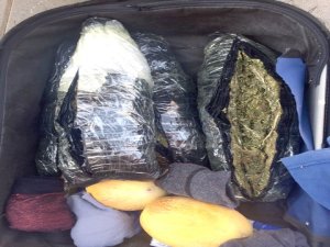 Şüpheli valizden esrar çıktı