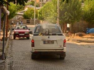 Kulp’ta ilaçlama çalışmaları sürüyor