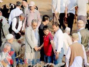 Kurban fiyatları el yakıyor