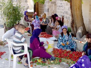 'Tohumdan mutfağa' kadın üretimi