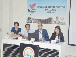Diyarbakır’da ‘karpuz’ paneli