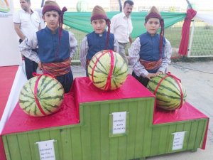 Diyarbakır Karpuzunda büyük düşüş!