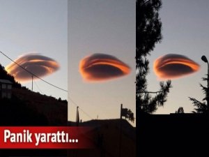 Tunceli'de şaşırtan görüntü