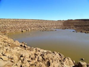 Karacadağ ’da pirinç hasadı yüzleri güldürdü