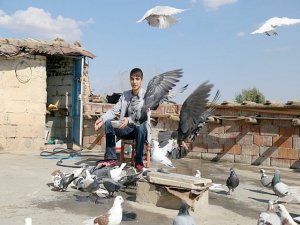 Hem can, hem de güvercinlerin derdinde