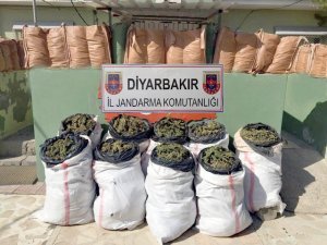 Dere yatağına gizlenmiş halde 164 kilo esrar ele geçirildi