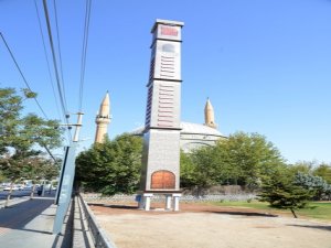 Dört ayaklı ‘baz istasyonu’