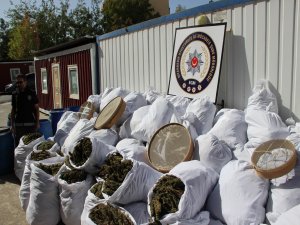 Zehir tacirlerine bir darbe daha