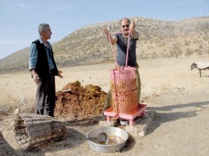 Diyarbakır'da bağbozumu zamanı