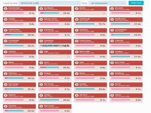 Aslan Neferler Tim ABD’nin DNS sunucularını hedef aldı