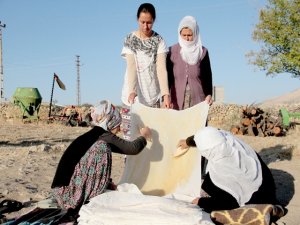 İl Müdürü Bağ Bozumuna Katıldı