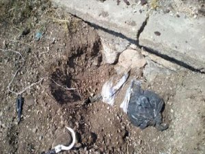 Sürücülerin dikkati sayesinde faciadan dönüldü