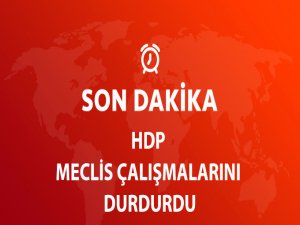HDP, Meclis Çalışmalarını Durdurdu