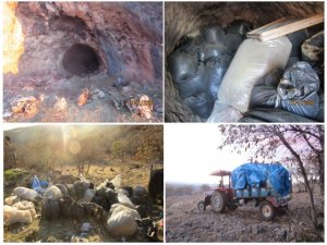 Hazro'da bir mağarada 1 ton 877 kilogram esrar ele geçirildi