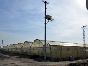 Kayıt dışını önlemek için 1 milyon lira harcandı