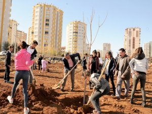 83 bin metrekarelik yeşil alan için ilk ağaçlar dikildi