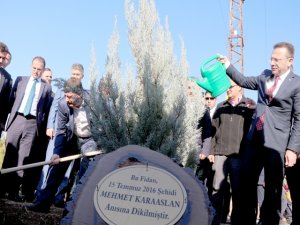 15 Temmuz Şehitleri anısına fidan dikildi