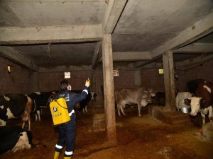 Diyarbakır’da sineklere karşı kışlık mücadele başladı