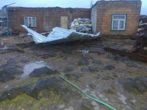 Derik'te hortum faciası: Evler yıkıldı, traktörler devrildi, ağaçlar kökünden söküldü...