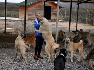 Engelli hayvanların yaşam savaşı