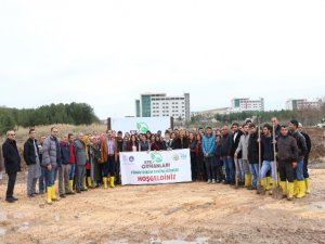 Diyarbakır’da “KYK Ormanı” oluşturuldu