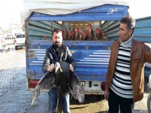 Kulp’ta hindi satışları başladı