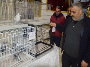 Diyarbakır’da ‘Güvercin Festivali’