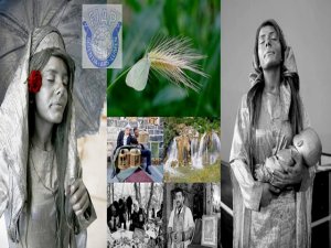 Süer’e ‘uluslararası fotoğrafçı’ ünvanı