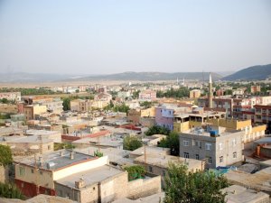 Hani'nin dereleri ıslah edilecek