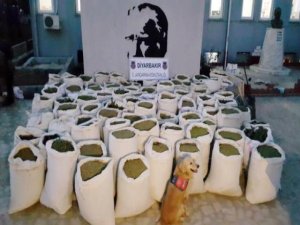 3 ton uyuşturucu madde ele geçirildi