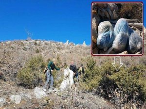 Diyarbakır'da 1 ton esrar ele geçirildi