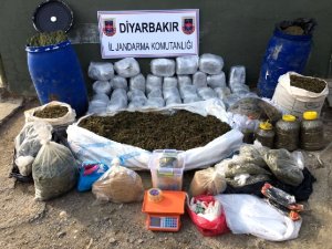 Lice’de 1 ton esrar ele geçirildi