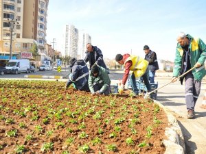 Mevsimlik çiçek dikimi çalışmaları devam ediyor