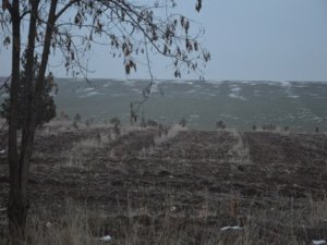 Amonyum nitratlı gübre tartışması