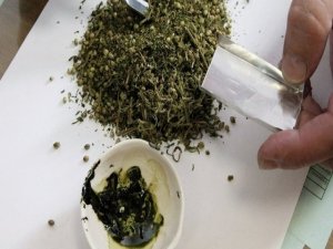 Bir ayda 8,5 ton esrar ele geçirildi