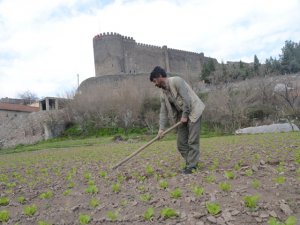 Hevsel’e bahar geldi
